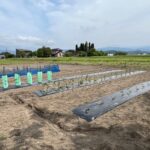 今年もＮＡＧＡＩＦＡＲＭ始めました
